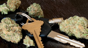 click here to learn more about cannabis impaired driving