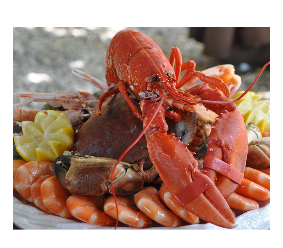 Atlantic Canadian Seafood Platter