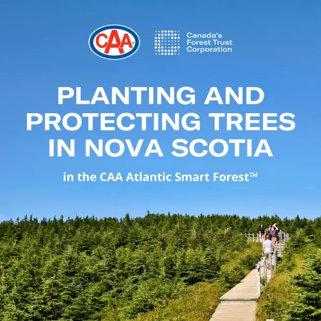 CAA banner promoting planting and protecting trees in Nova Scotia, showing a forest landscape and boardwalk.