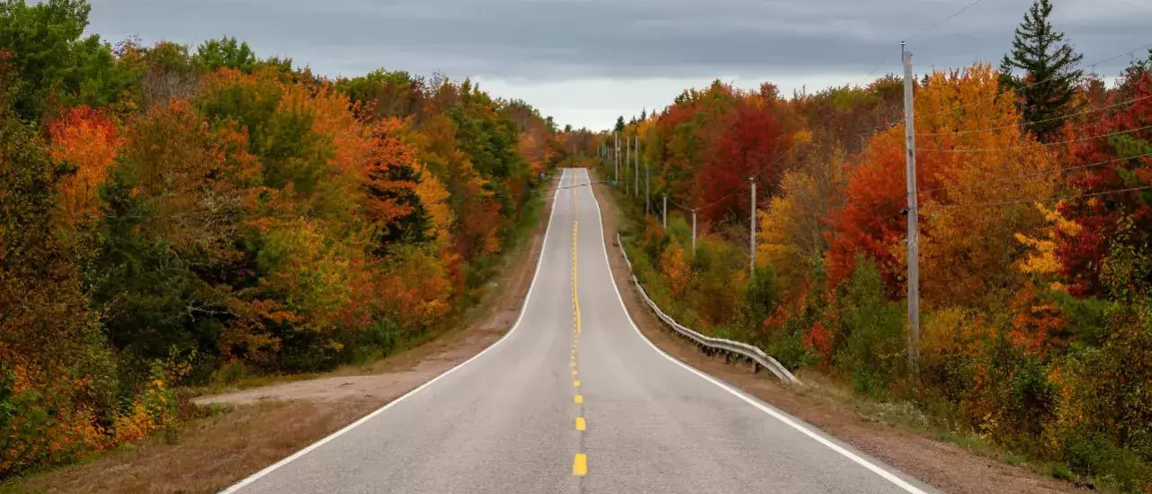 Highway fee of a fall drive in Newfoundland. 