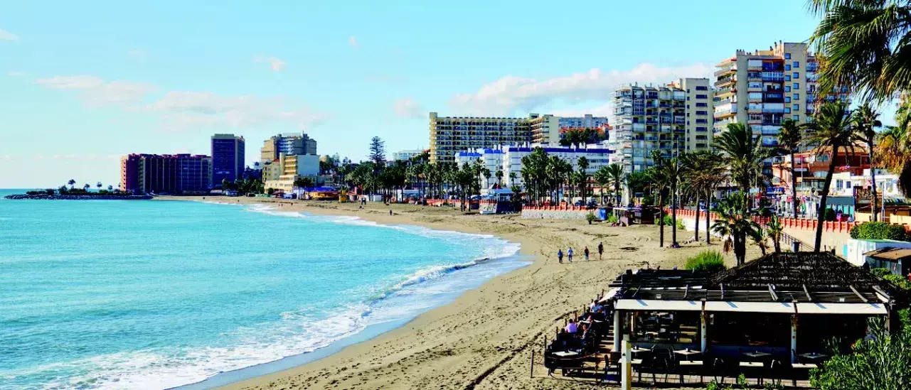 People walking on a sandy beach with palm trees