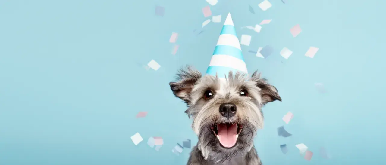 Cute happy dog celebrating at a birthday party 