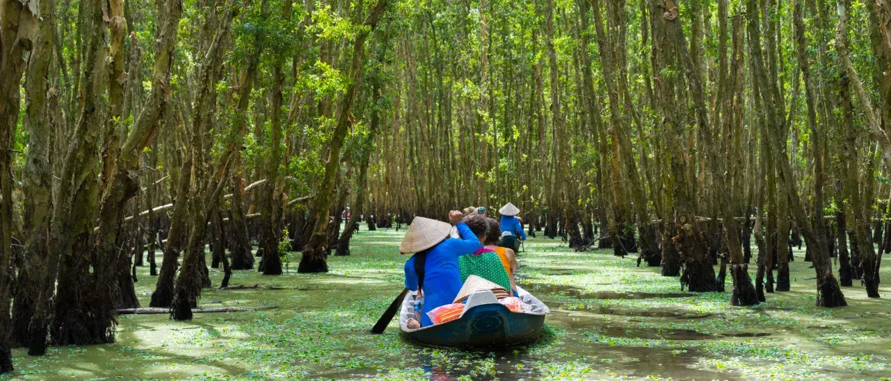 People in a small wooden boat paddling through a flooded forest with tall, straight trees and green floating vegetation covering the water surface.