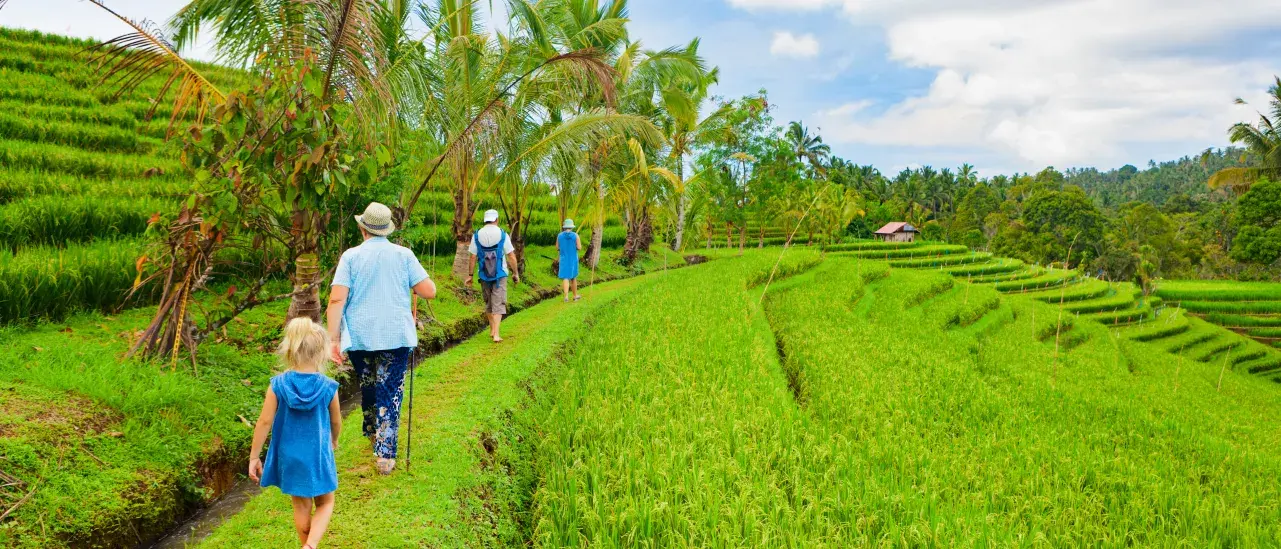 A group of people walking along a narrow grassy path through lush green terraced rice fields, surrounded by palm trees under a partly cloudy sky.