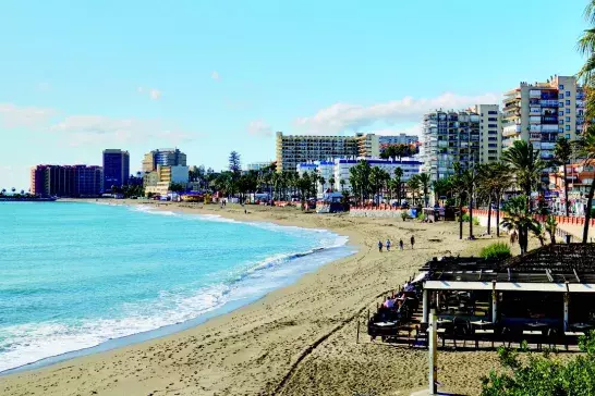 People walking on a sandy beach with palm trees