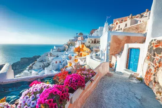 A picturesque view of Santorini, Greece, featuring white-washed buildings with blue domes cascading down a hillside. Vibrant pink flowers in the foreground contrast with the deep blue sea and sky, highlighting the island's charming architecture and stunning scenery.