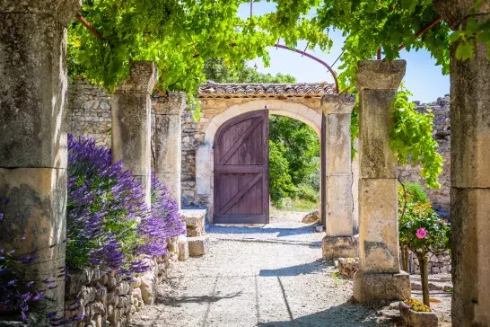 A rustic stone archway with a wooden door, surrounded by lush green vines, lavender bushes, and stone pillars, leading to an outdoor area on a sunny day.