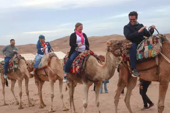A group of people riding camels in Morrocco.