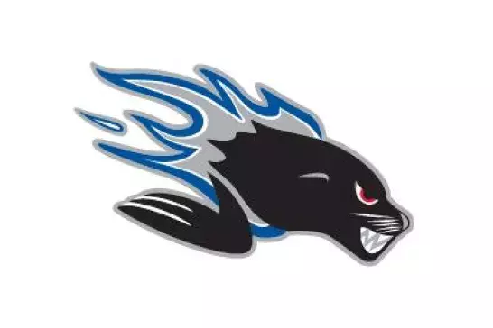 Sea Dogs logo