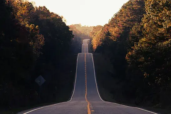 A long road with trees on either side.