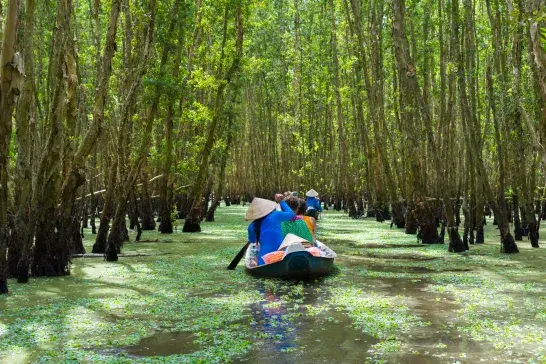People in a small wooden boat paddling through a flooded forest with tall, straight trees and green floating vegetation covering the water surface.