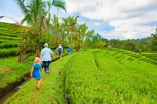 A group of people walking along a narrow grassy path through lush green terraced rice fields, surrounded by palm trees under a partly cloudy sky.