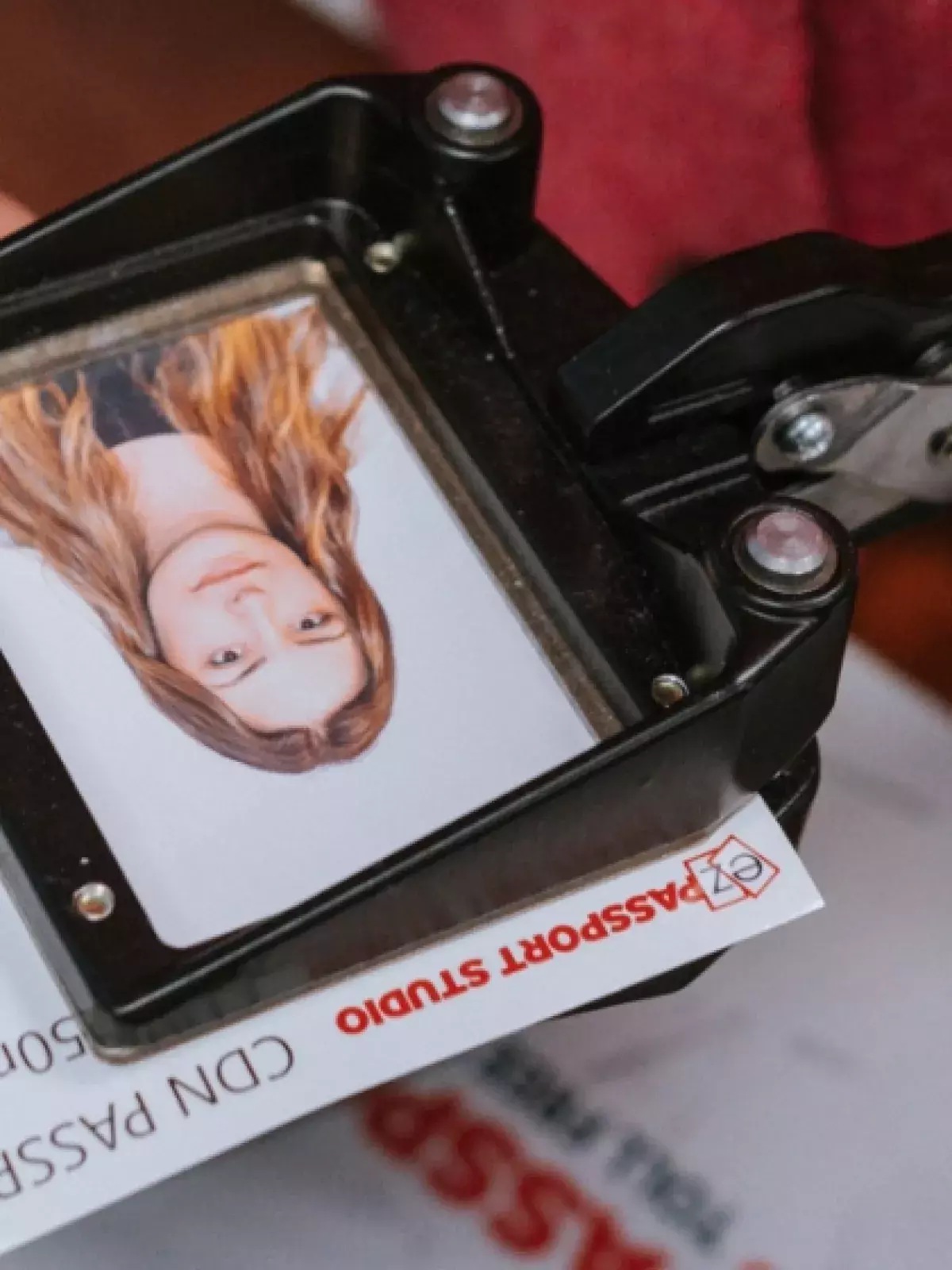 Female hand cutting a passport photo