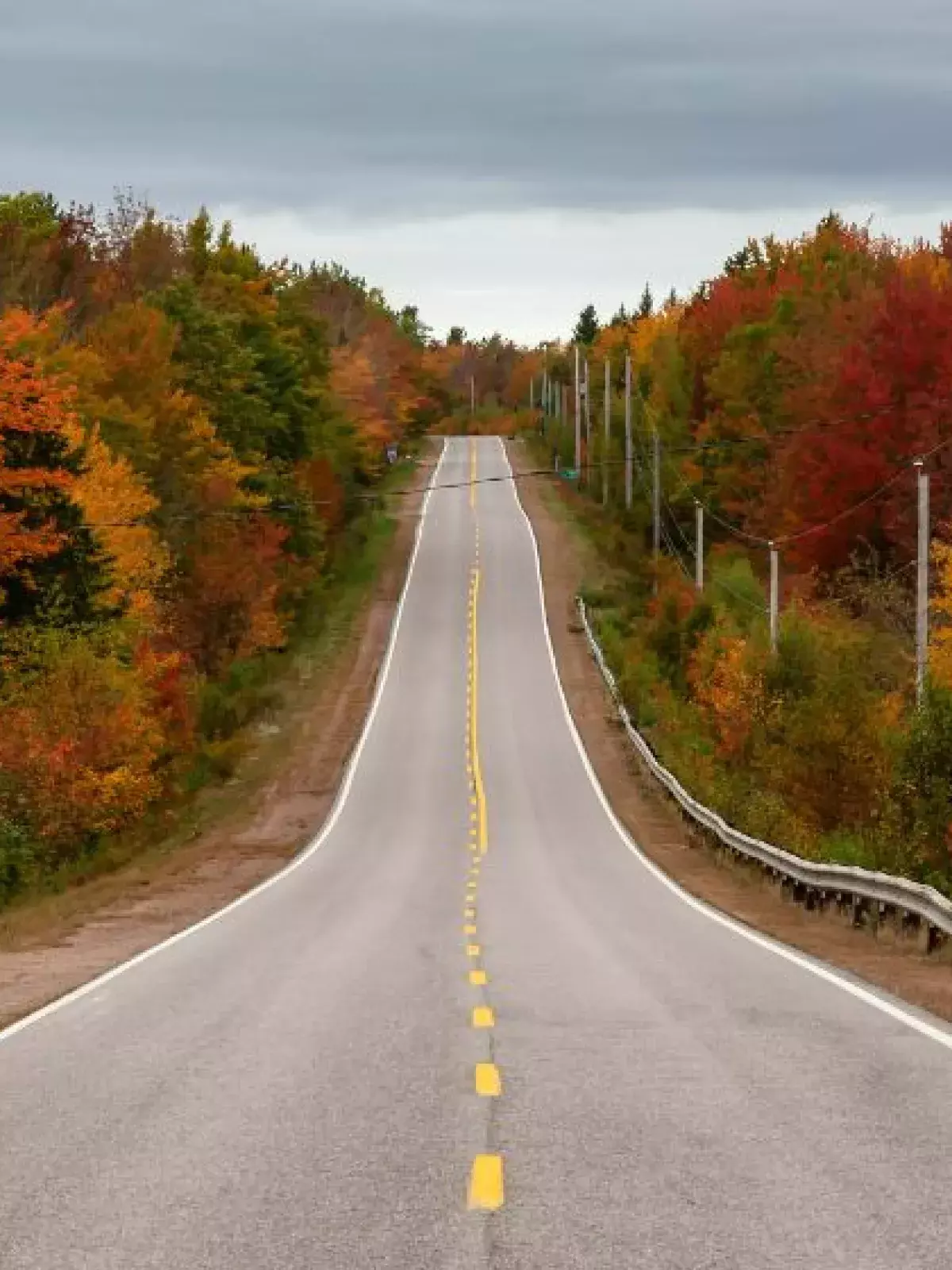 Highway fee of a fall drive in Newfoundland. 