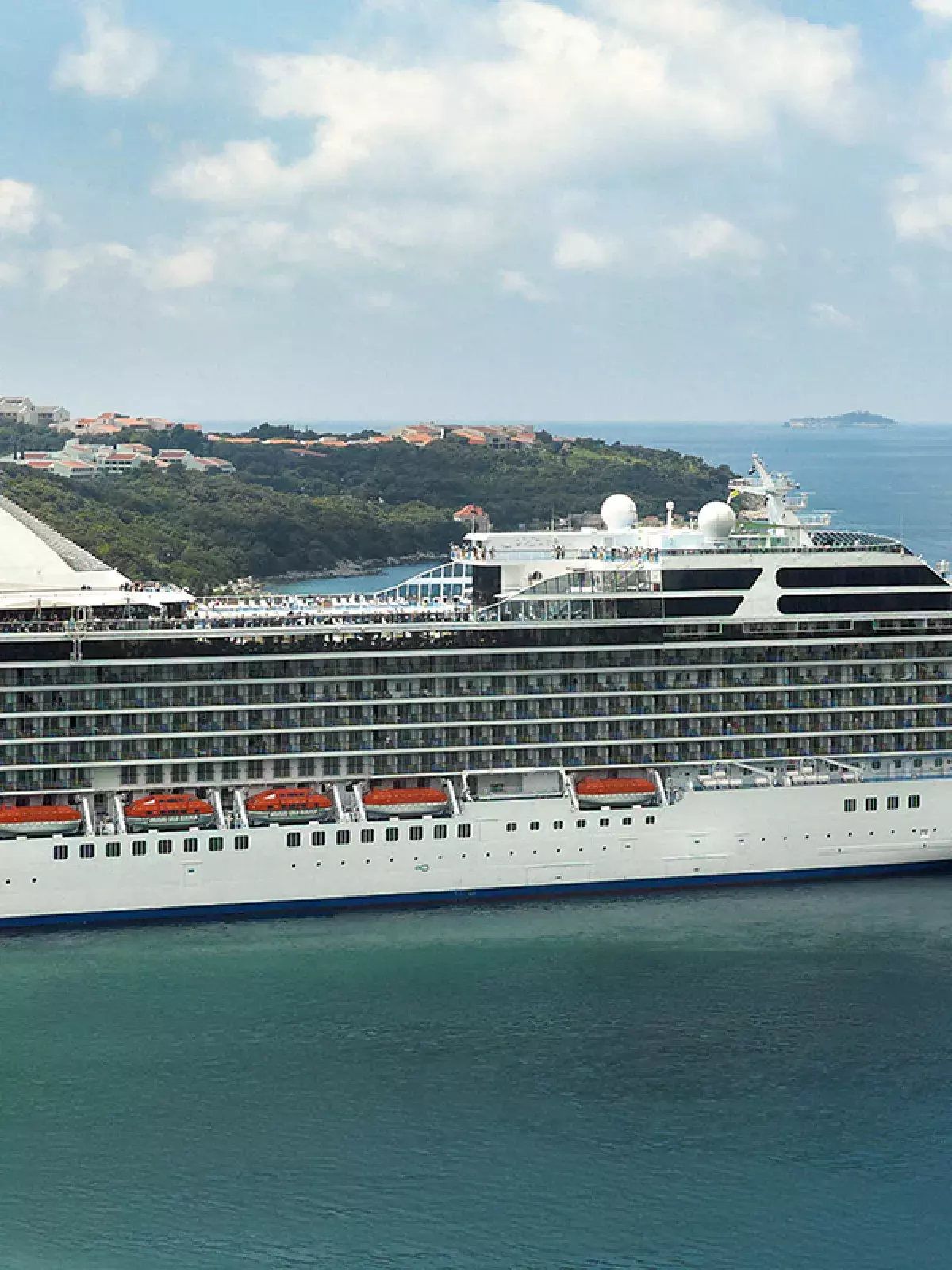 Cruise ship visiting a scenic harbour