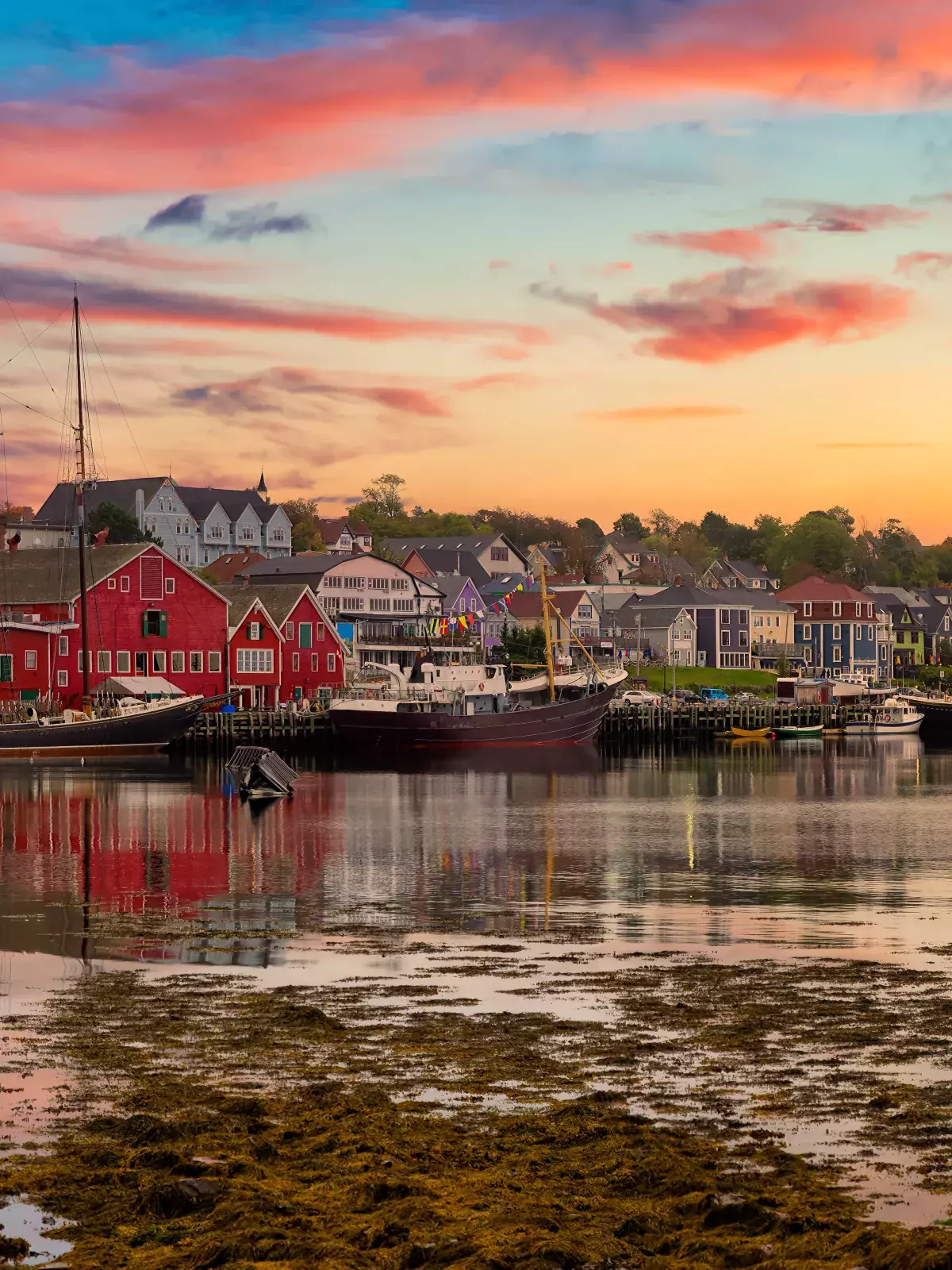 Sunset over a coastal town with colorful buildings, boats docked along the calm waterfront, and a rocky shoreline in the foreground.