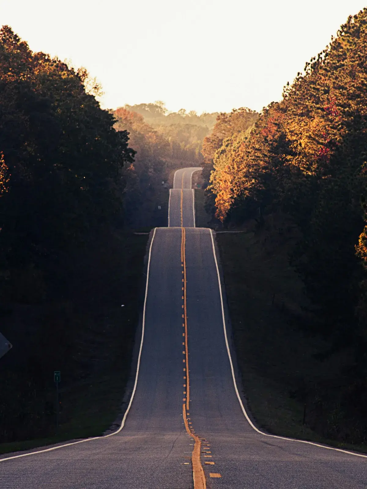 A long road with trees on either side.