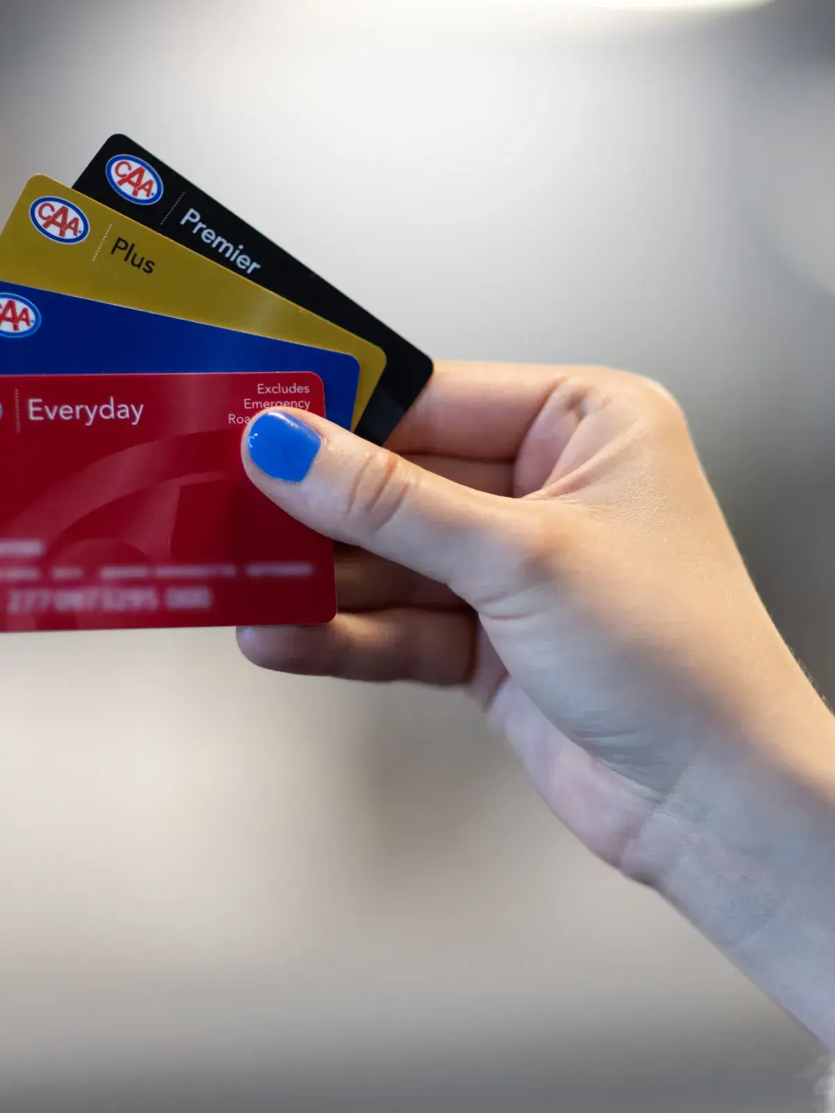 Hand holding a selection of CAA membership cards.