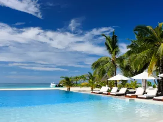 Tropical resort with palm trees and white beach chairs by a pool