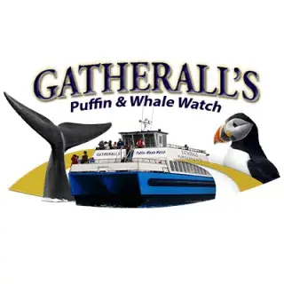 Gatherall's Puffin & Whale Watch