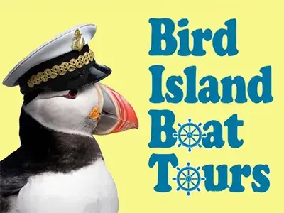 Bird Island Tours Limited