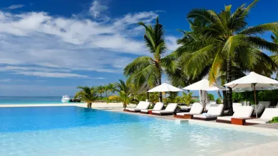 Poolside photo with White beach chairs and umbrellas looking out onto the ocean, palm trees in the background 