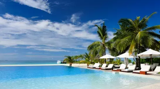 Tropical resort with palm trees and white beach chairs by a pool