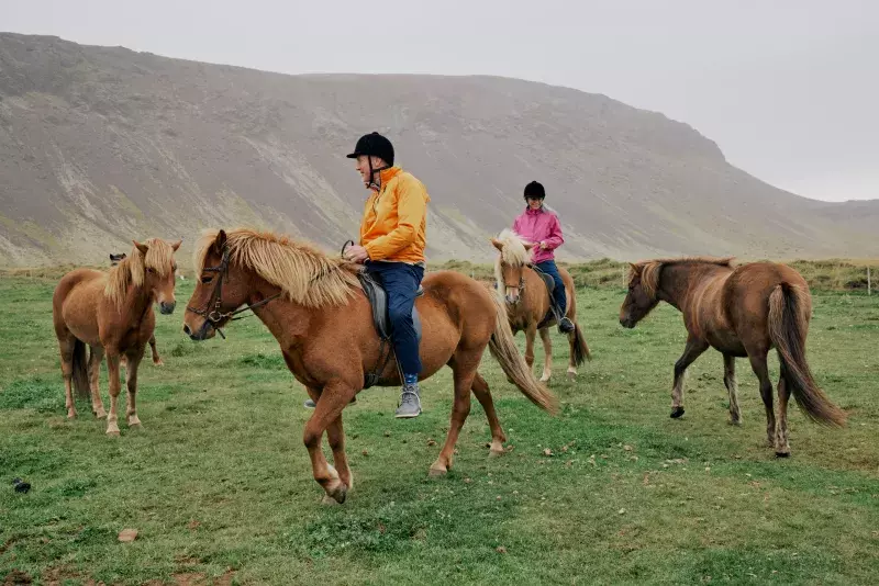 Two people riding horses in an open grassy area with mountains in the background. Two other horses are standing nearby. The riders are wearing jackets and hats, and the weather appears to be overcast.