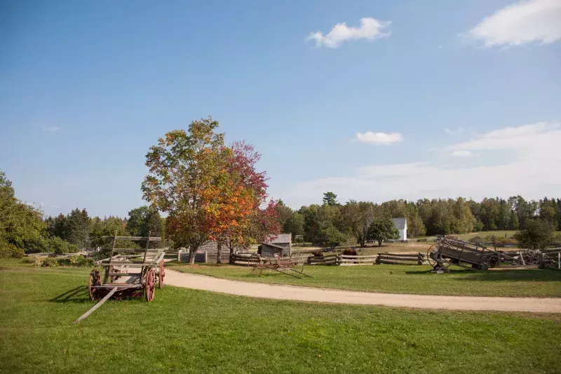 View of King's Landing with a dirt path, old cart, rustic buildings, and a tree with autumn leaves under a partly cloudy sky.