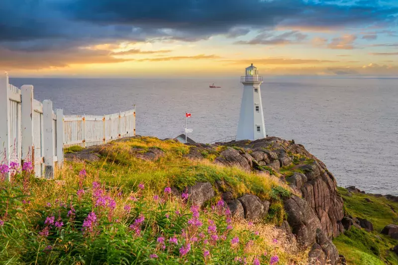 White lighthouse on a rocky cliff with pink flowers in the foreground, overlooking the ocean at sunset or sunrise.