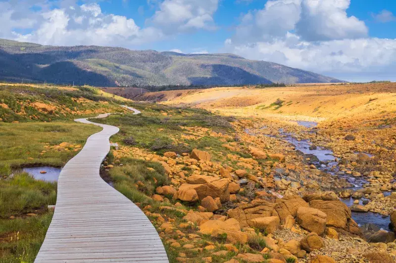 Wooden boardwalk winding through grassy terrain with rocks, a stream, and hills in the background under a partly cloudy sky.