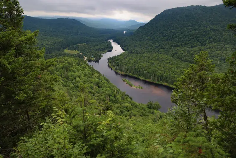 A winding river flows through a lush, green forested valley under a cloudy sky.