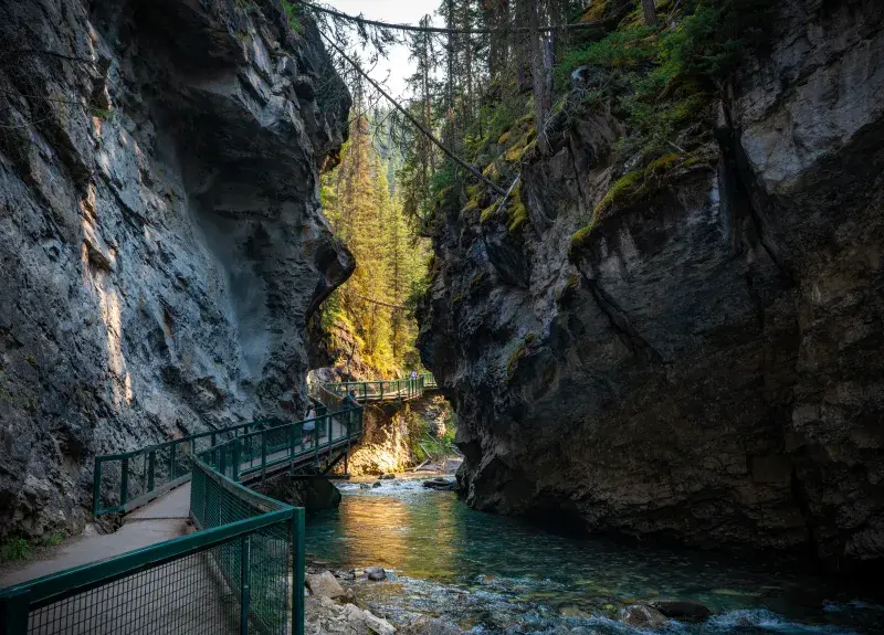 A narrow canyon with a clear river, green-railed walkway, and evergreen trees in the background.