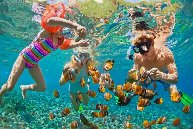 Three individuals snorkel underwater, surrounded by colorful tropical fish in clear blue water.