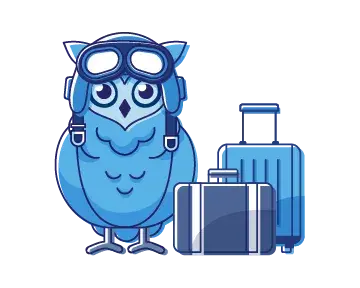 Cartoon owl wearing aviator goggles standing beside rolling suitcases.