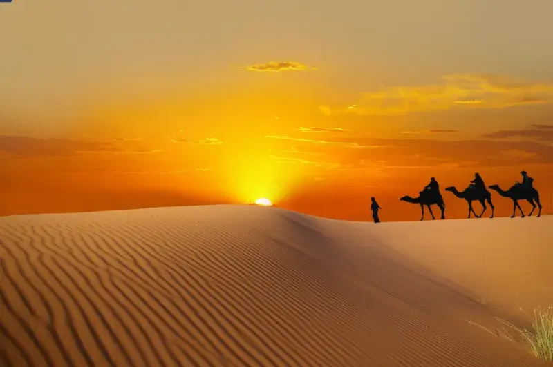 Silhouetted camels and riders crossing sand dunes at sunset in the Sahara Desert, with rippled sand and a glowing orange sky.